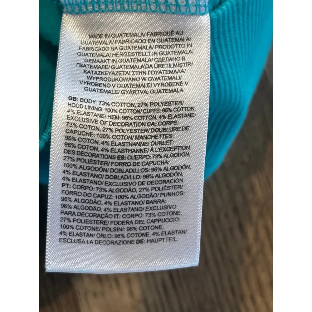 The North Face Hoodie Mens Large Teal Blue Pullover Graphic Logo Excellent